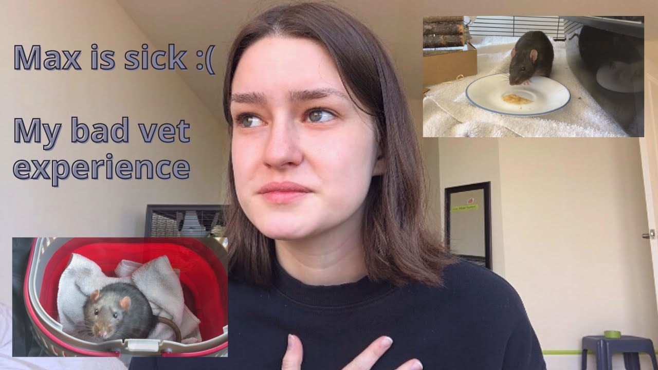 Max is sick | My bad vet experience :(