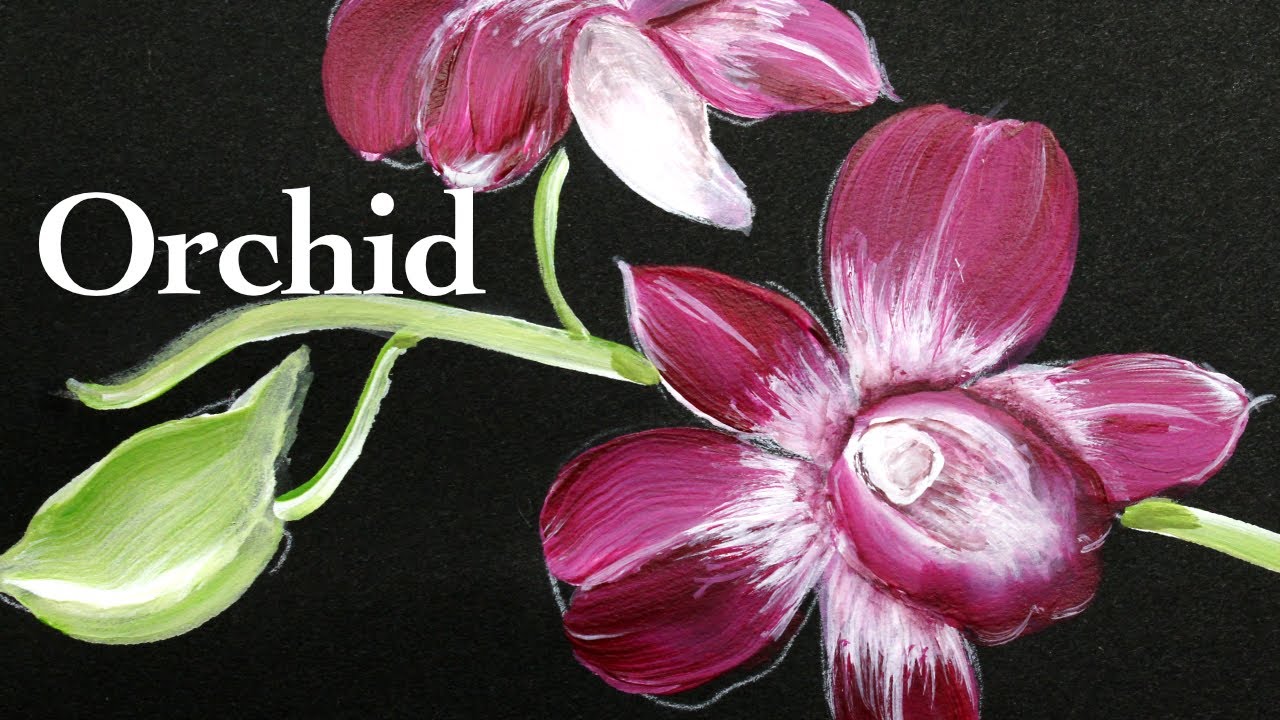 Orchid painting tutorial ( in 3.5 minutes )
