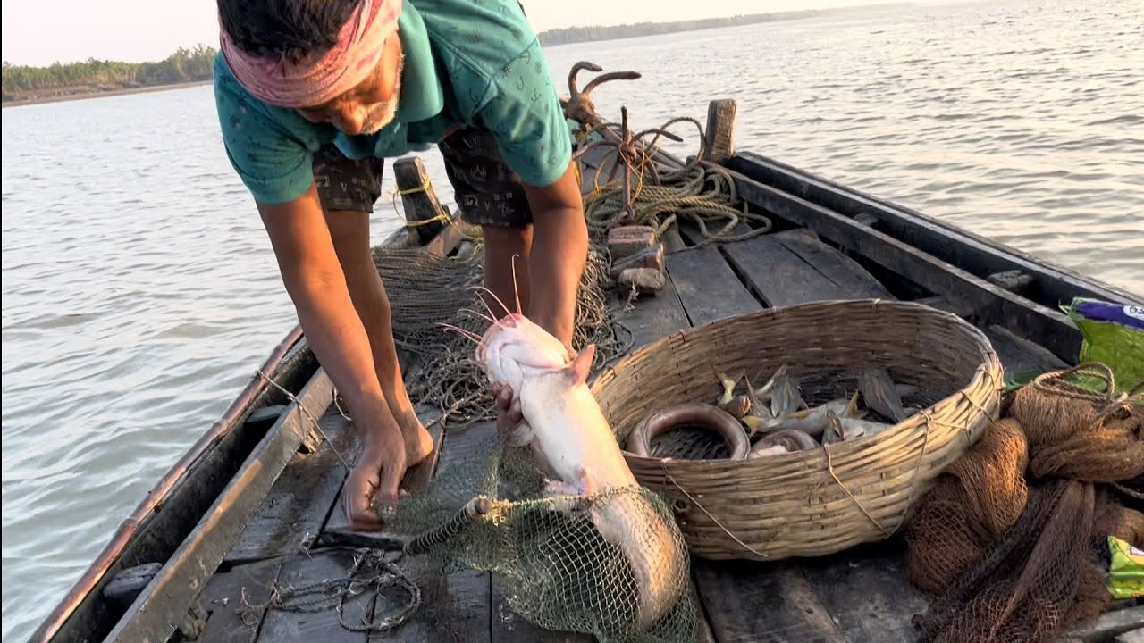 fishing in Sundarban !!! আজ সুন্দরবনের নদীতে এত বেশি মাছ পাব ভাবতে পারিনি !!!