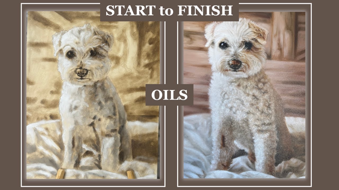 Custom Pet Portrait Commission in Oils | Bichon Frise Painting Timelapse