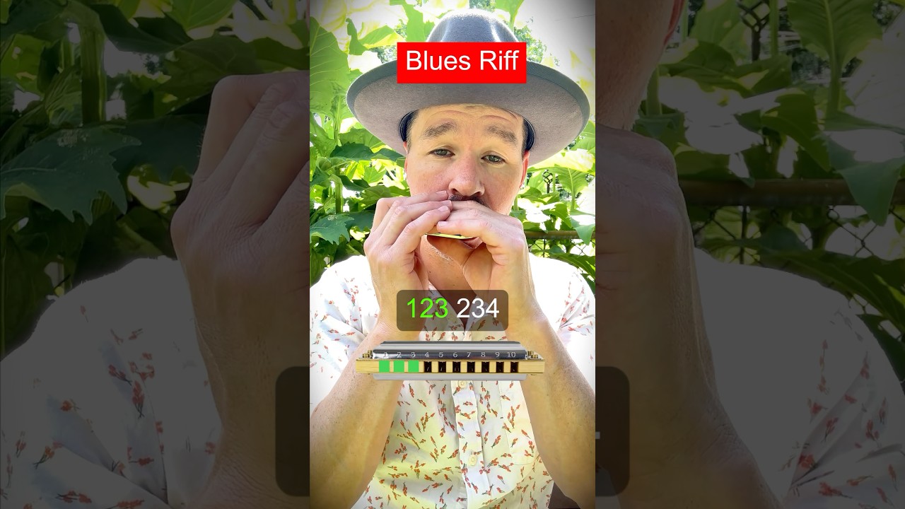 Harmonica Tutorial for Beginners EASY Blues Riff Harmonica #harmonica #blues