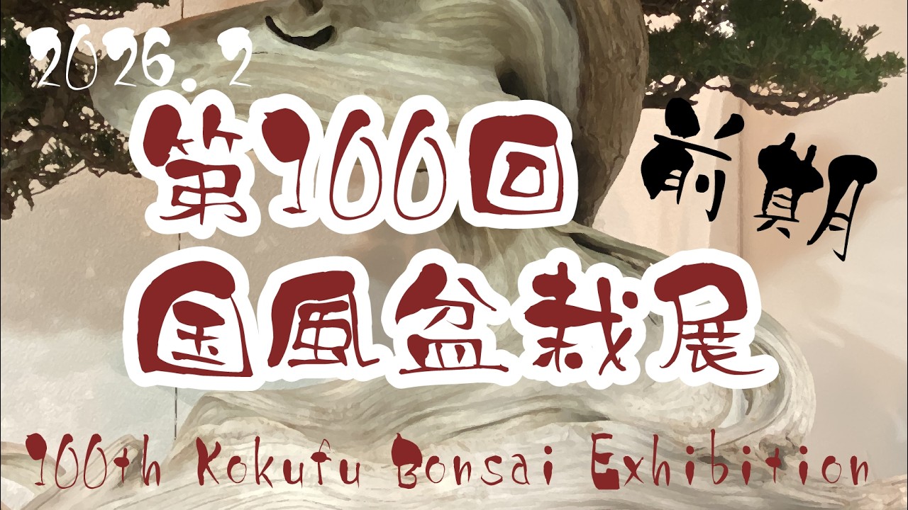 第100回　国風盆栽展   4K