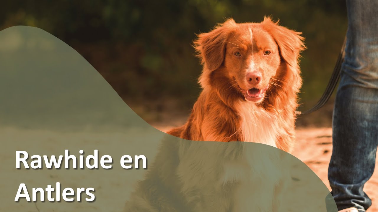 Welkom bij Farm Food: Rawhide en Antlers (deel 3 van 3)