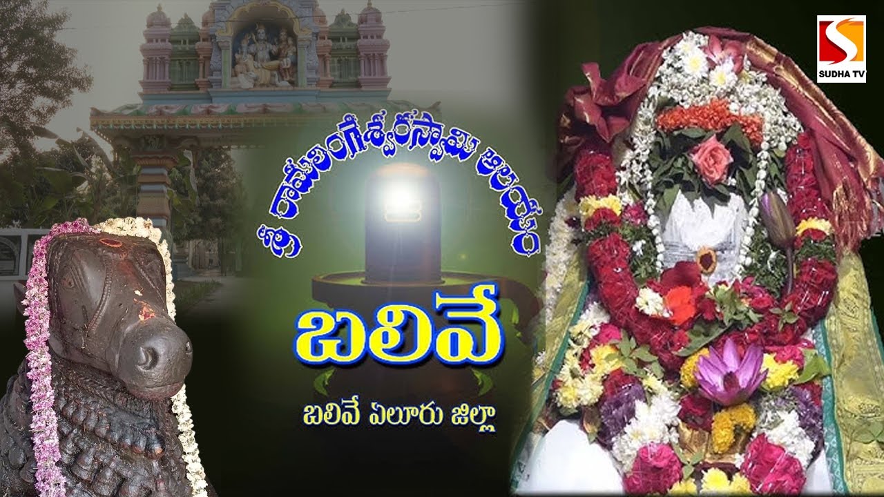 బలివే రామలింగేశ్వర స్వామి ఆలయం శివరాత్రి | Balive Ramalingeswara Swamy Temple SUDHA TV