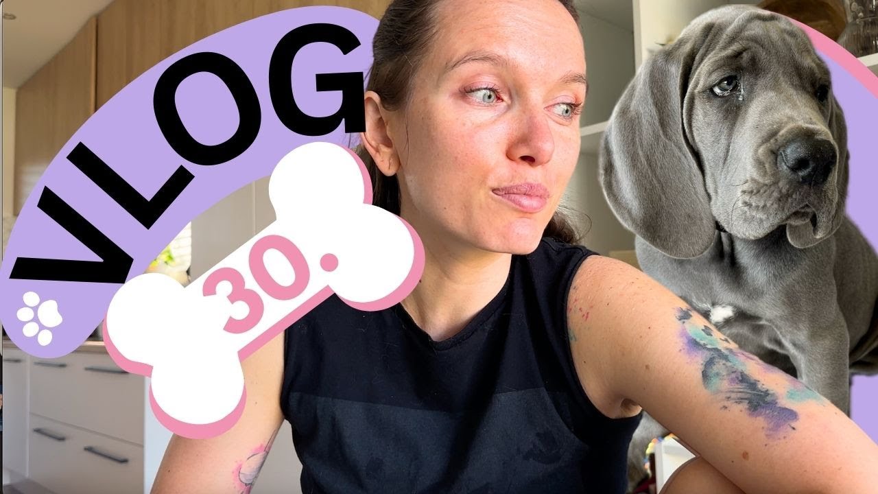 #30 VLOG 🐶 | Vitaj Freya 🩶 znova vymýšľam a vyrábam, nákupy a čo nové v záhrade? 🏠