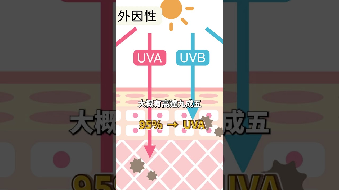 兩大老化因子　皮膚乾皺髒的來由！ #shorts  #皮膚老化 #老化因子 #自由基  #更年期 #雌性荷爾蒙 #紫外線 #光老化 #UVA #UVB #皮膚粗糙 #膚色蒼白 #膚色不均 #劉士朋醫師