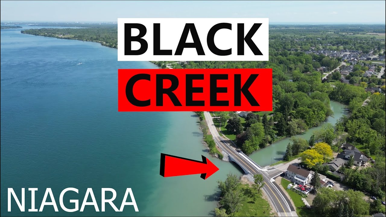 PADDLING UP BLACK CREEK FROM THE NIAGARA RIVER!