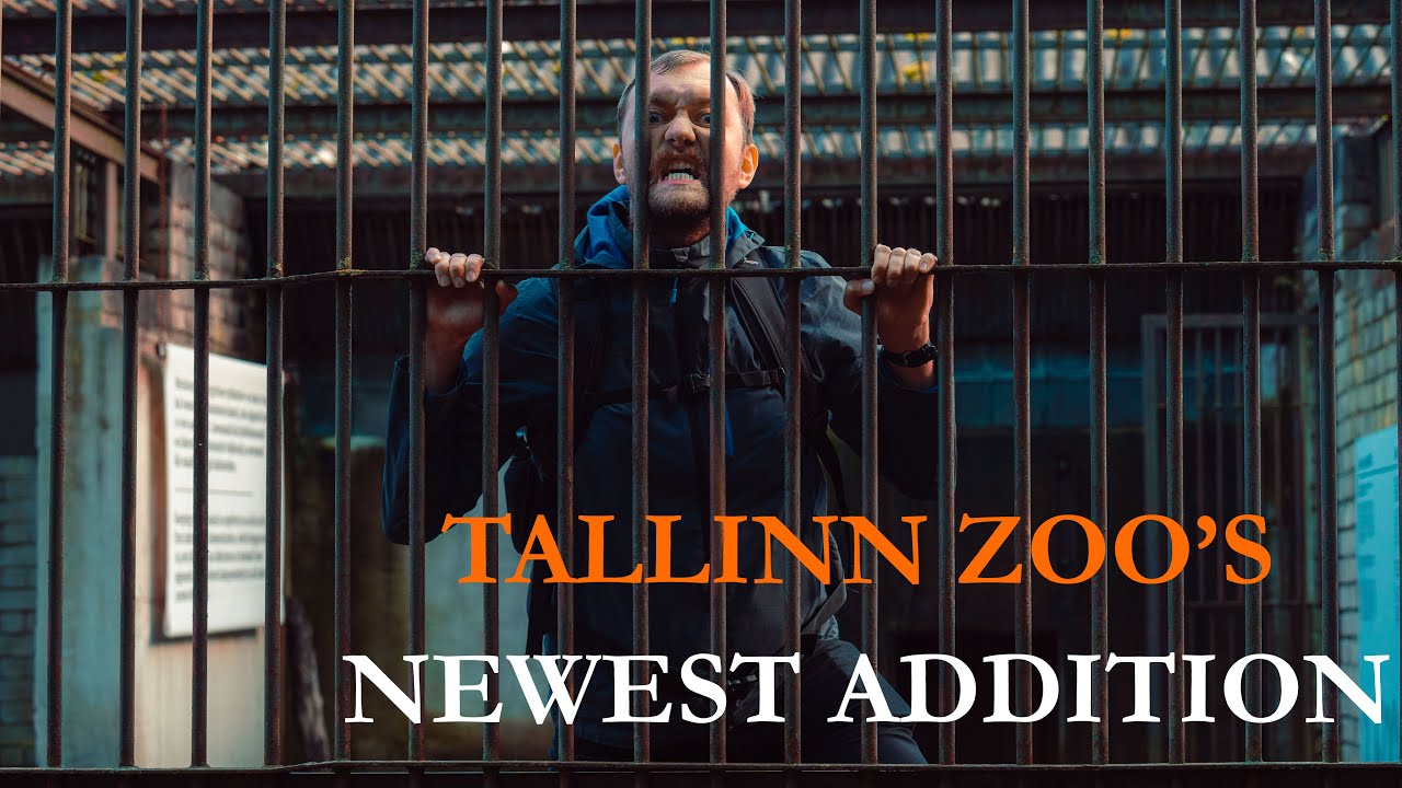 We Went To Tallinn Zoo and Met Some Awesome Animals