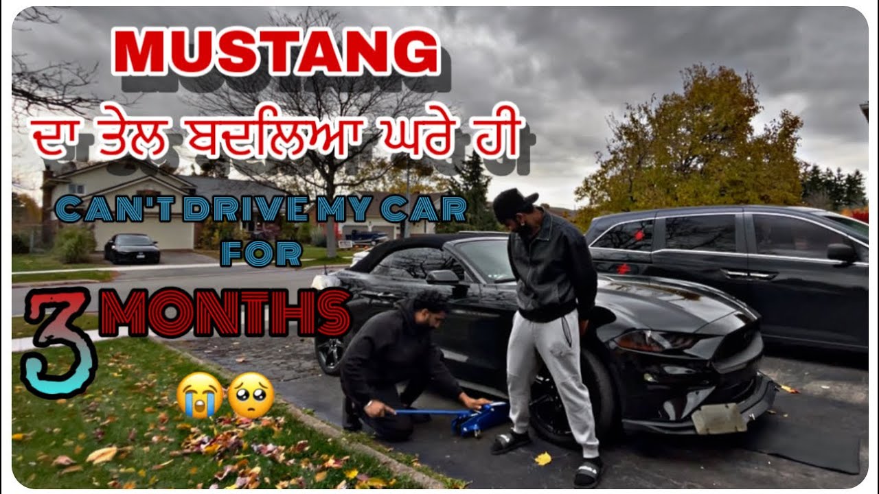 GHRE HI KARTI SERVICE MUSTANG DI 🤓😎.  Sidhu’s Daily Grind