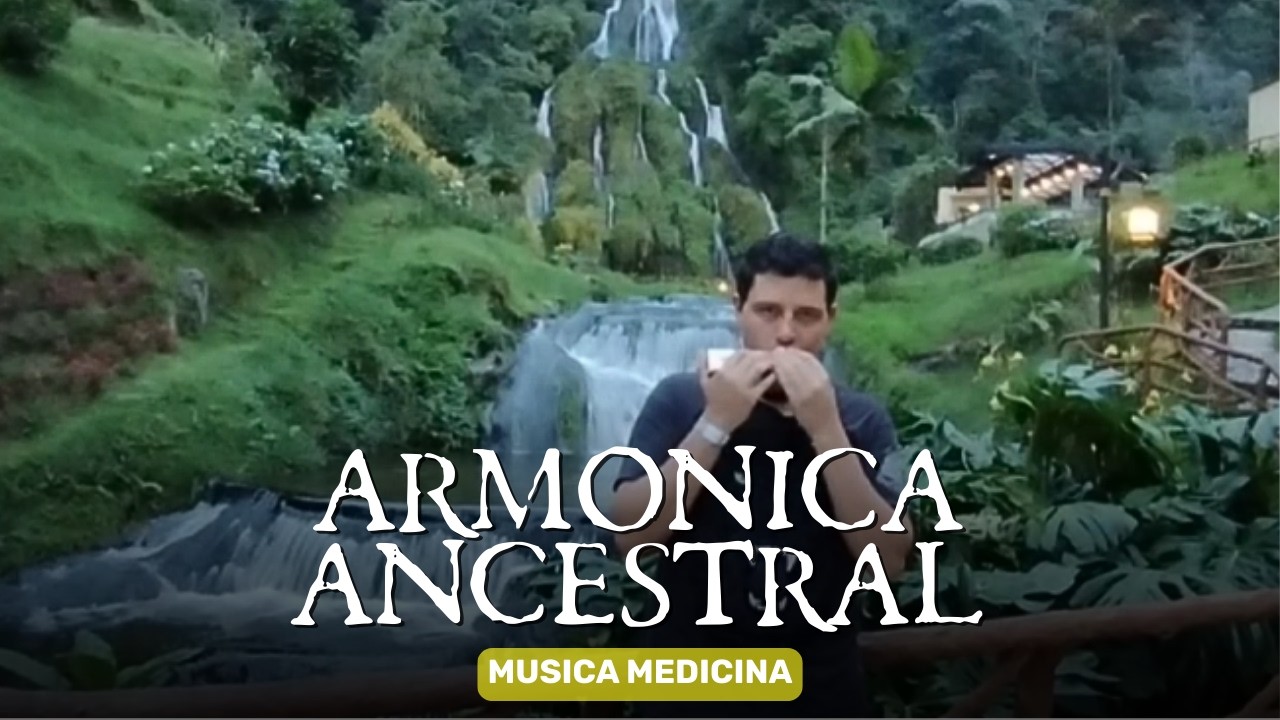 ARMONICA | Musica Medicina Ancestral de la Naturaleza