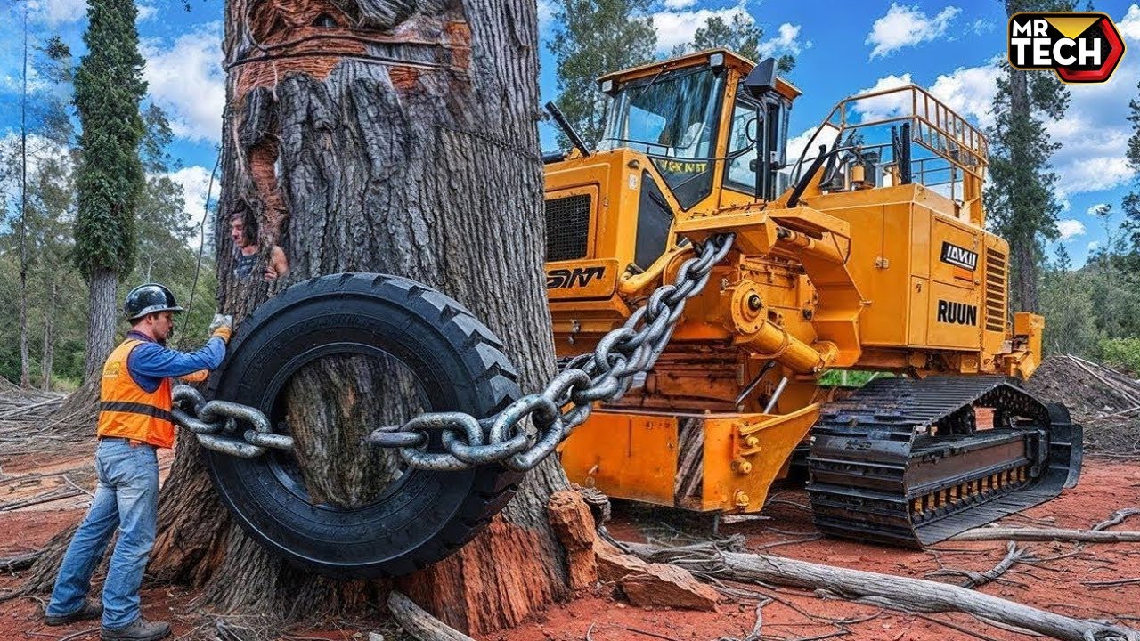 Extreme Dangerous Fastest Big Chainsaw Cutting Tree Machines | Monster Stump Removal Excavator #30