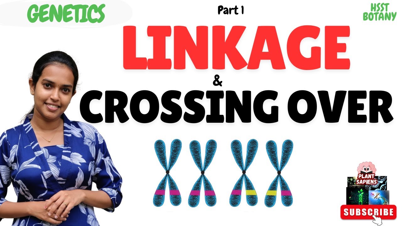 Linkage and Crossing over | Malayalam Explanation 