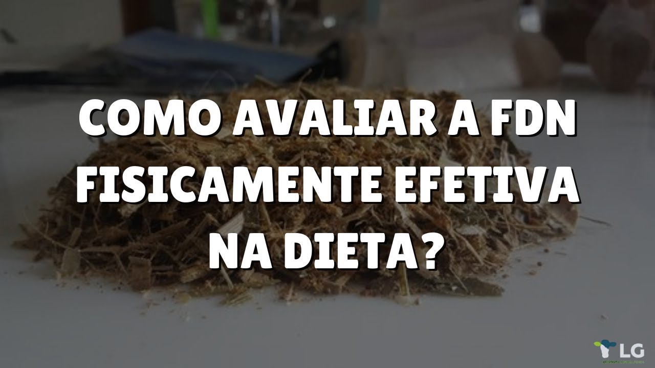 Como avaliar FDN fisicamente efetiva na dieta?