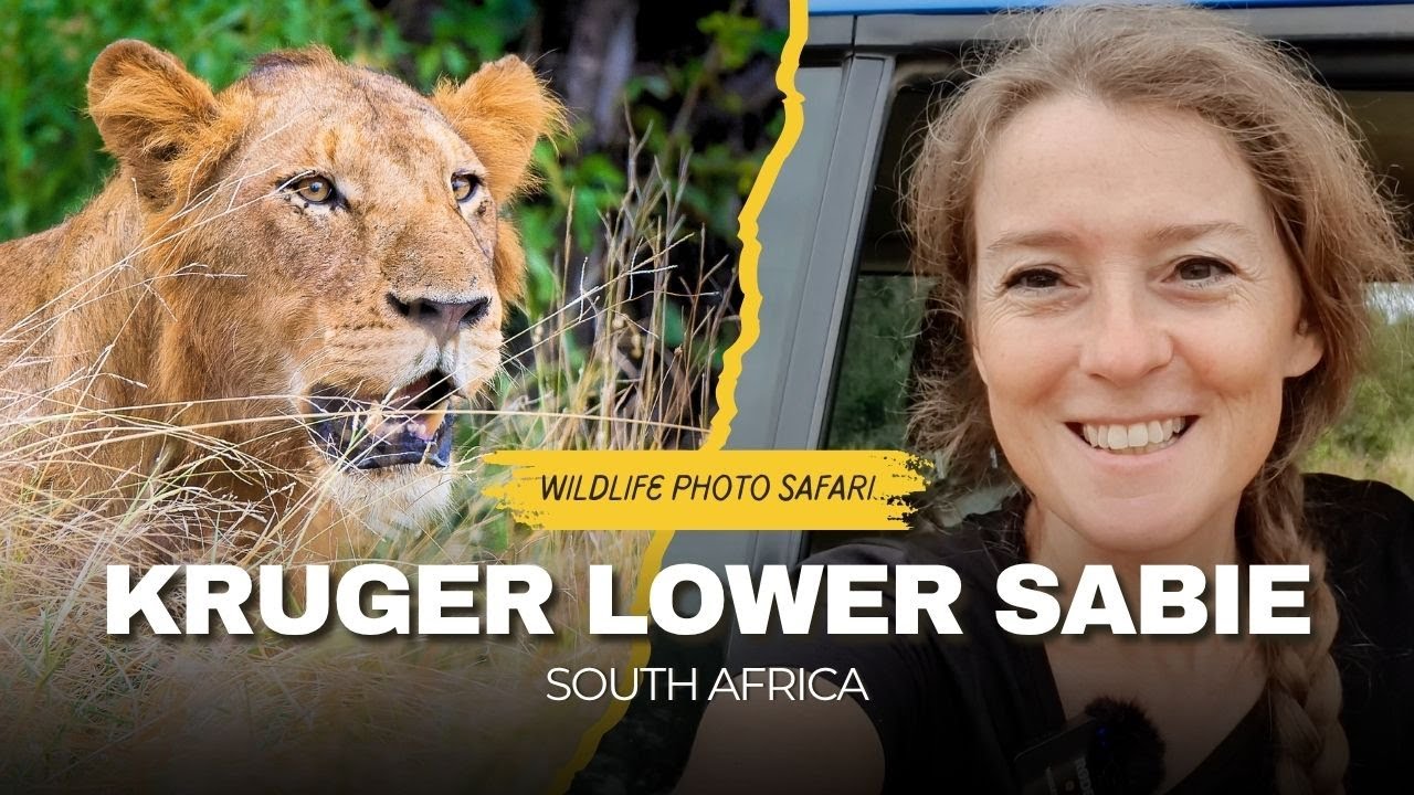 Will my dream of seeing a lion come true today? | Wildlife photography in Kruger Lower Sabie - Ep.5