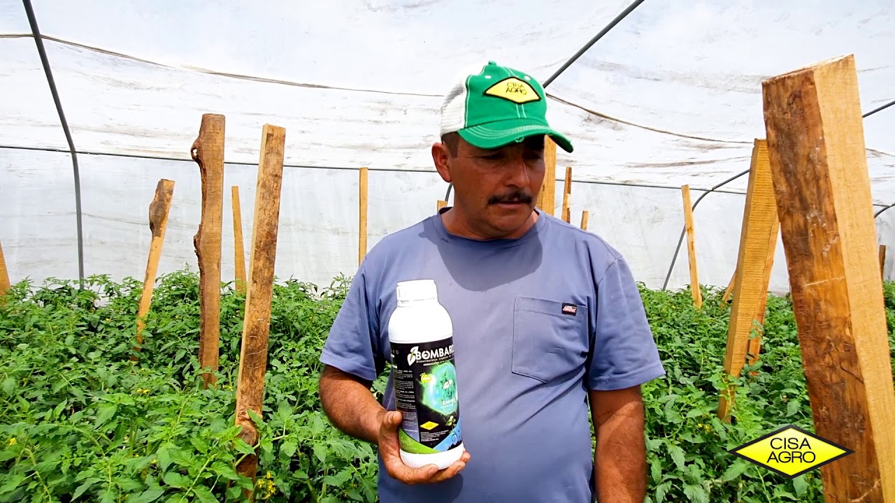 #Video 📽 ¡EL CAMPO NO SE DETIENE!