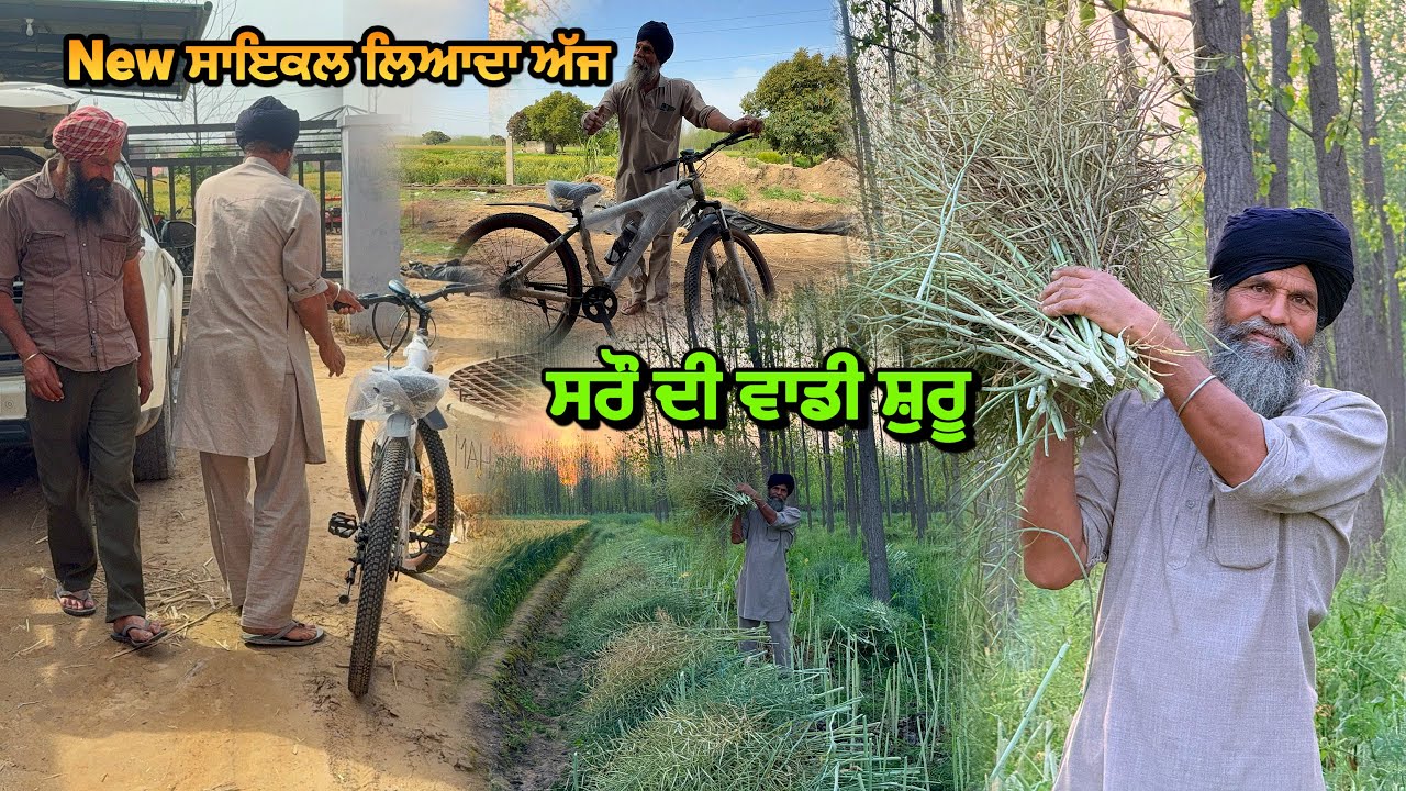 New Cycle ਇੱਕ ਹੋਰ / ਸਰੌ ਦੀ ਵਾਡੀ ਸ਼ੁਰੂ / ਕਣਕ ਗਿਰ ਗਈ #malkeetbai 