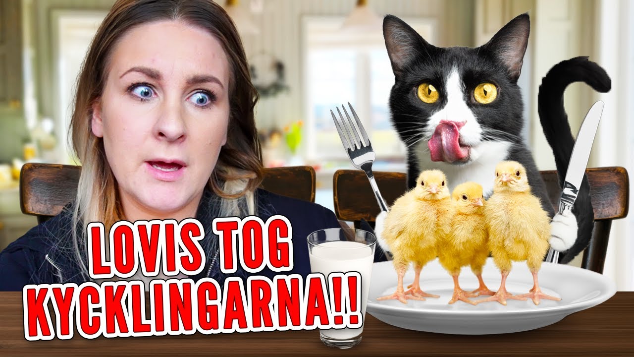 Vi köper ett litet hus! 🏡 💸 | VLOGG #525