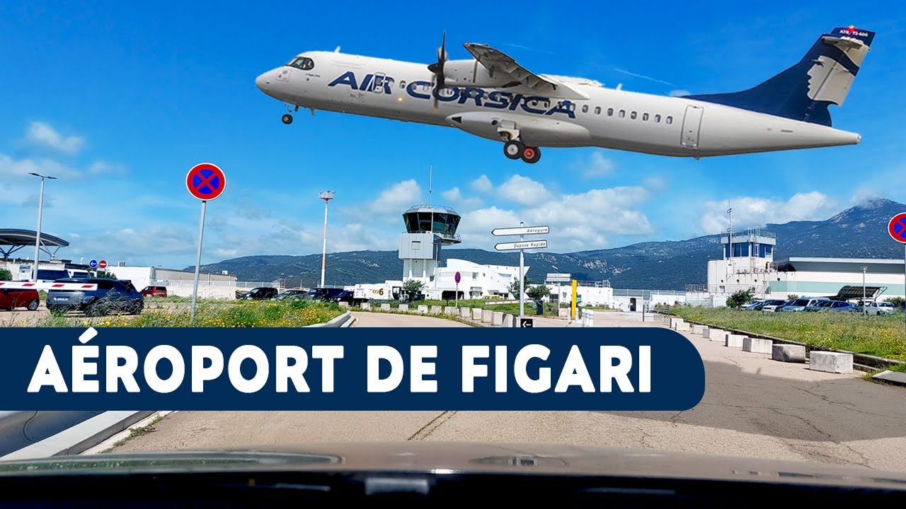 Sotta → Aéroport de Figari 🇫🇷 | Routes Sinueuses & Paysages Sauvages !
