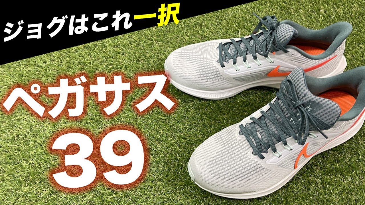 ペガサス39が過去最高のジョグシューズすぎたのでレビューします