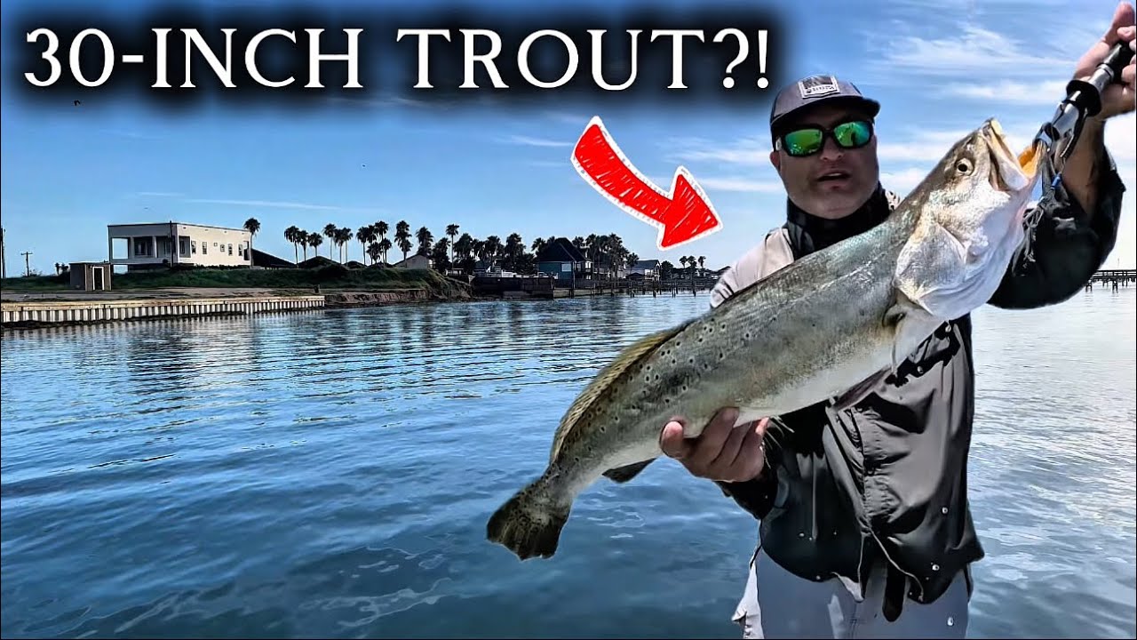 My Biggest Gator Trout of 2025! (INSANE SIZE)