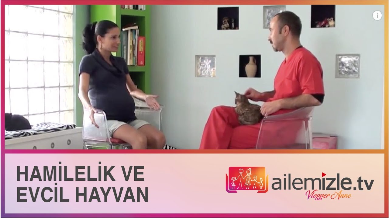 Hamilelikte evcil hayvan bakımı