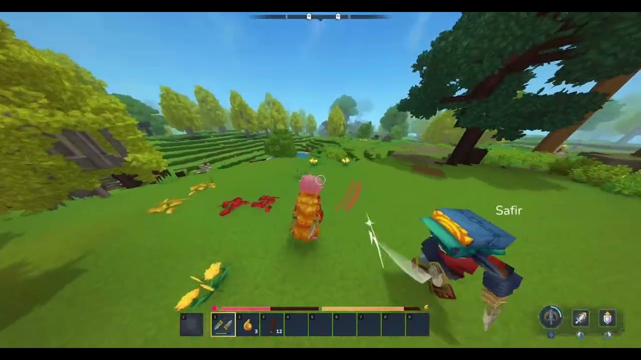 PVP Test at Hysync Network | Hytale