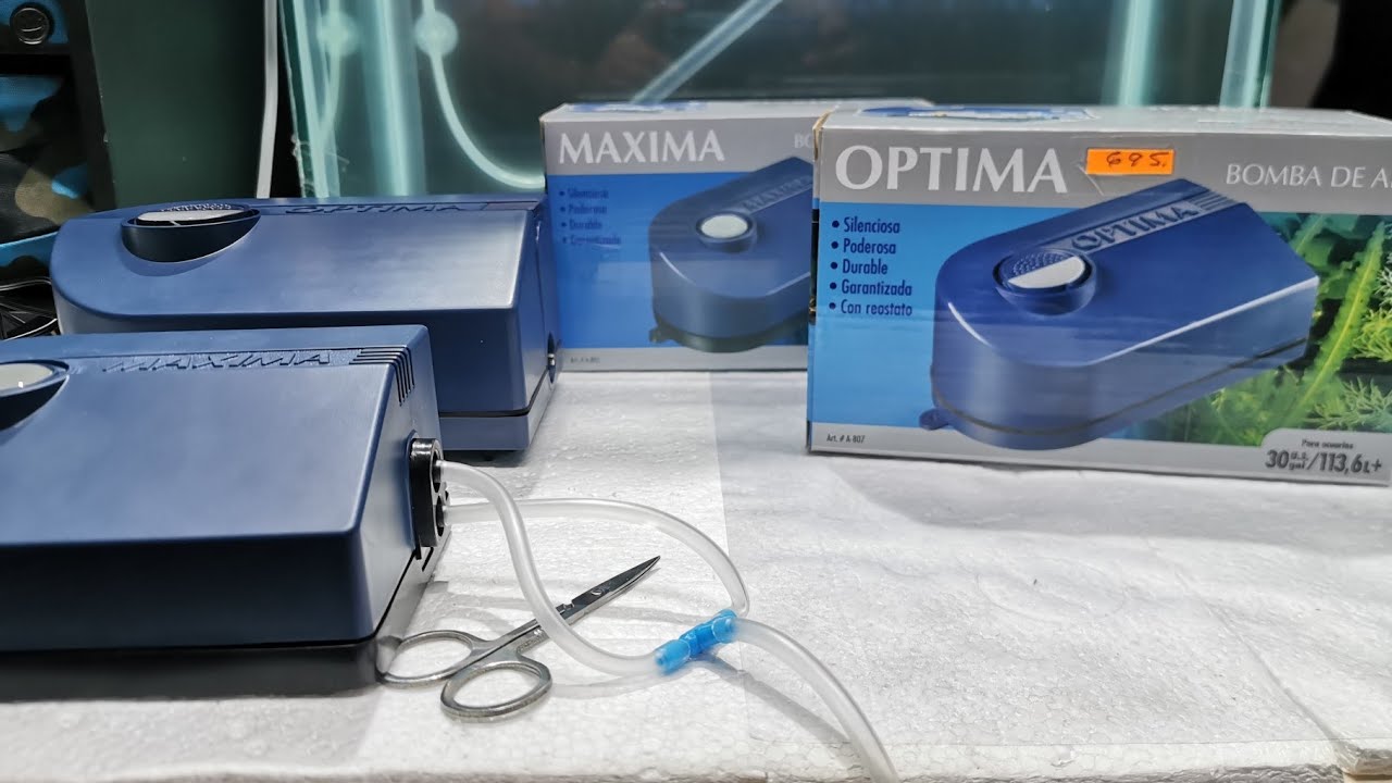 Bomba Maxima vs Optima Hagen