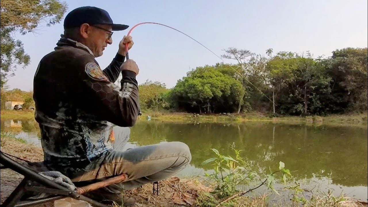 Pescaria de vara lisa s&oacute; peixe bruto - Pesca terapia