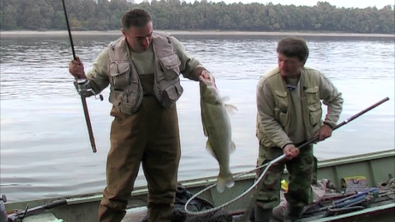 Pecanje smuđa, štuke i bucova na Dunavu - Varaličarenje | Fishing pike and zander