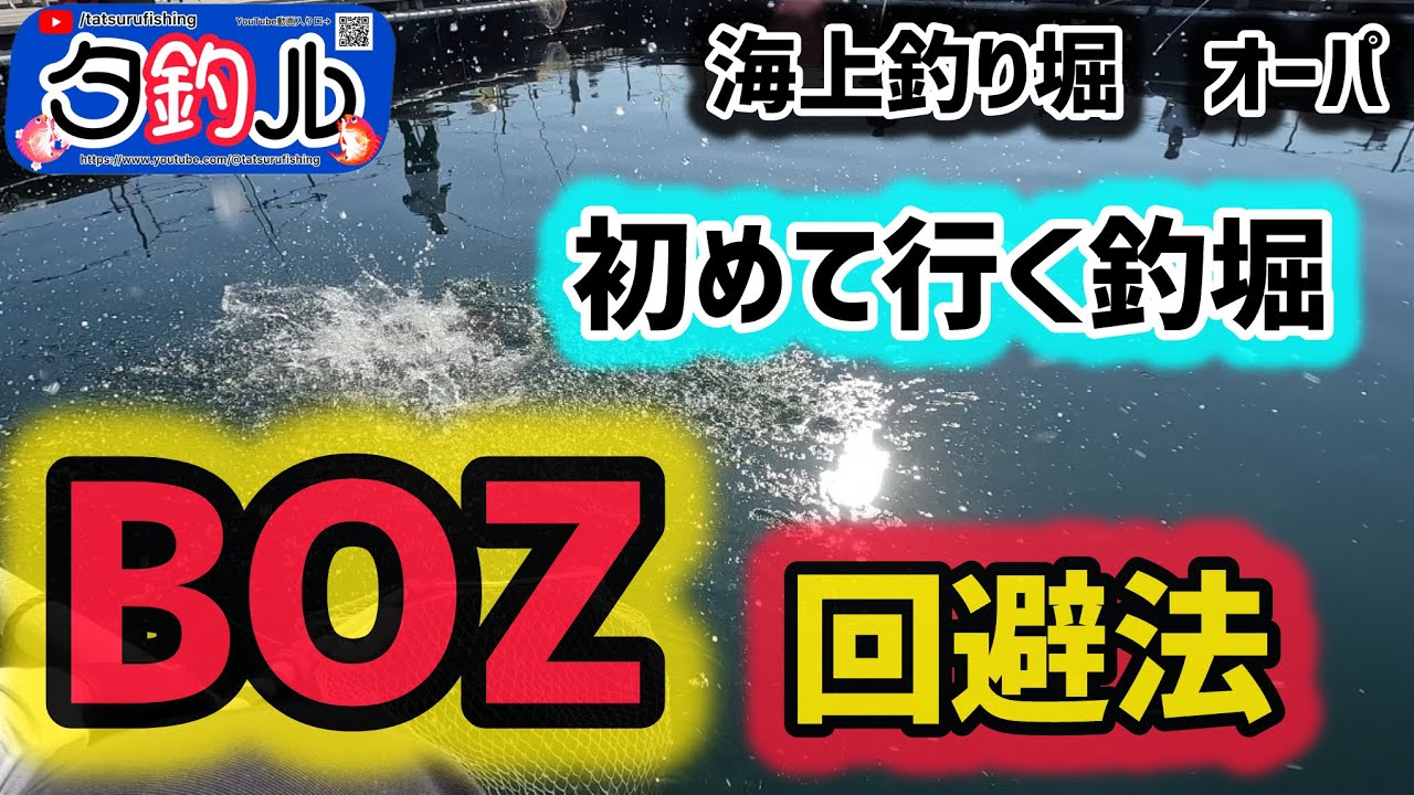 【海上釣堀】初釣行！行く前に何を調べる？餌？潮？当たり座？