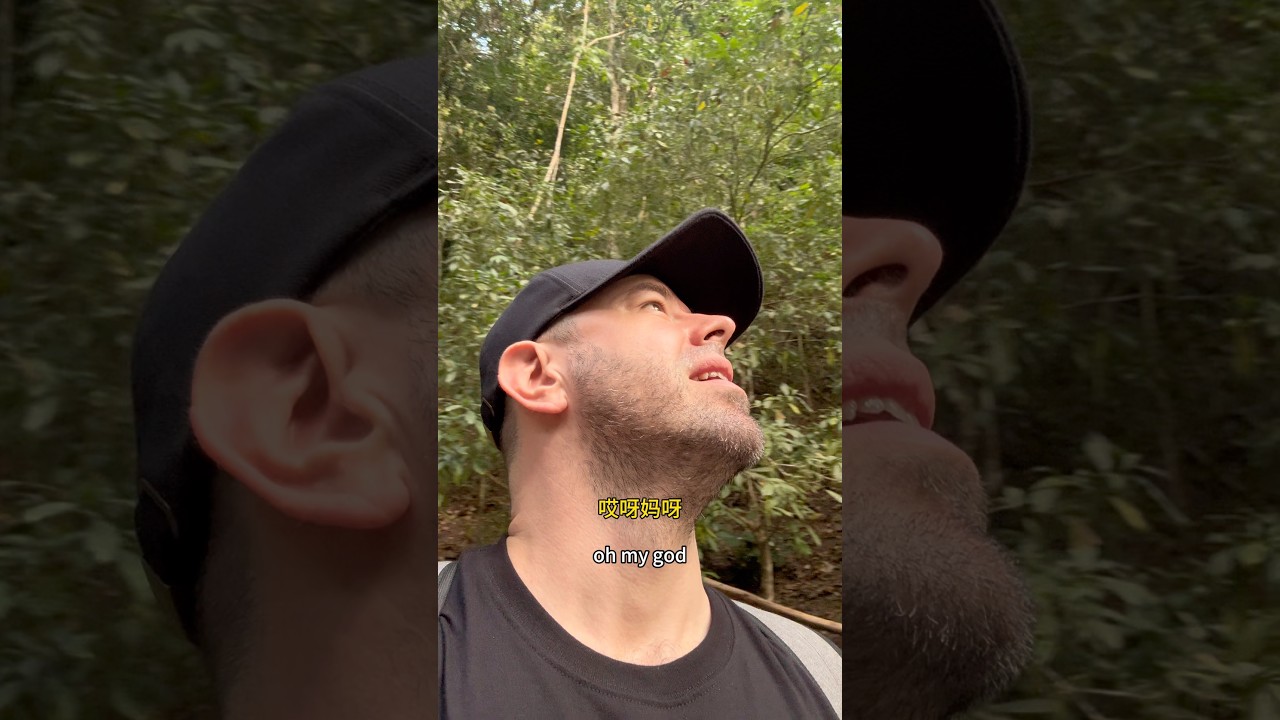 My family and I hiked through the rainforest in China