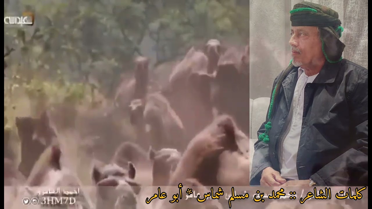 دبرارت من كلمات :: محمد بن مسلم شماس أبو عامر.   أداء :: محمد شماس