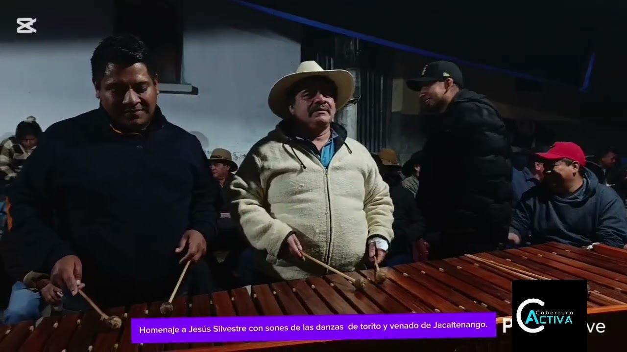 Sones de la danza de torito y Vendo homenajiando a don Jesús Silvestre Mendoza.Q. E. D.