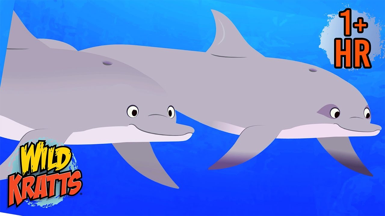 Dolphin Sea Adventures 🌊 | Sharks, Fish, and Frogs with Wild Kratts | 9 Story Kids