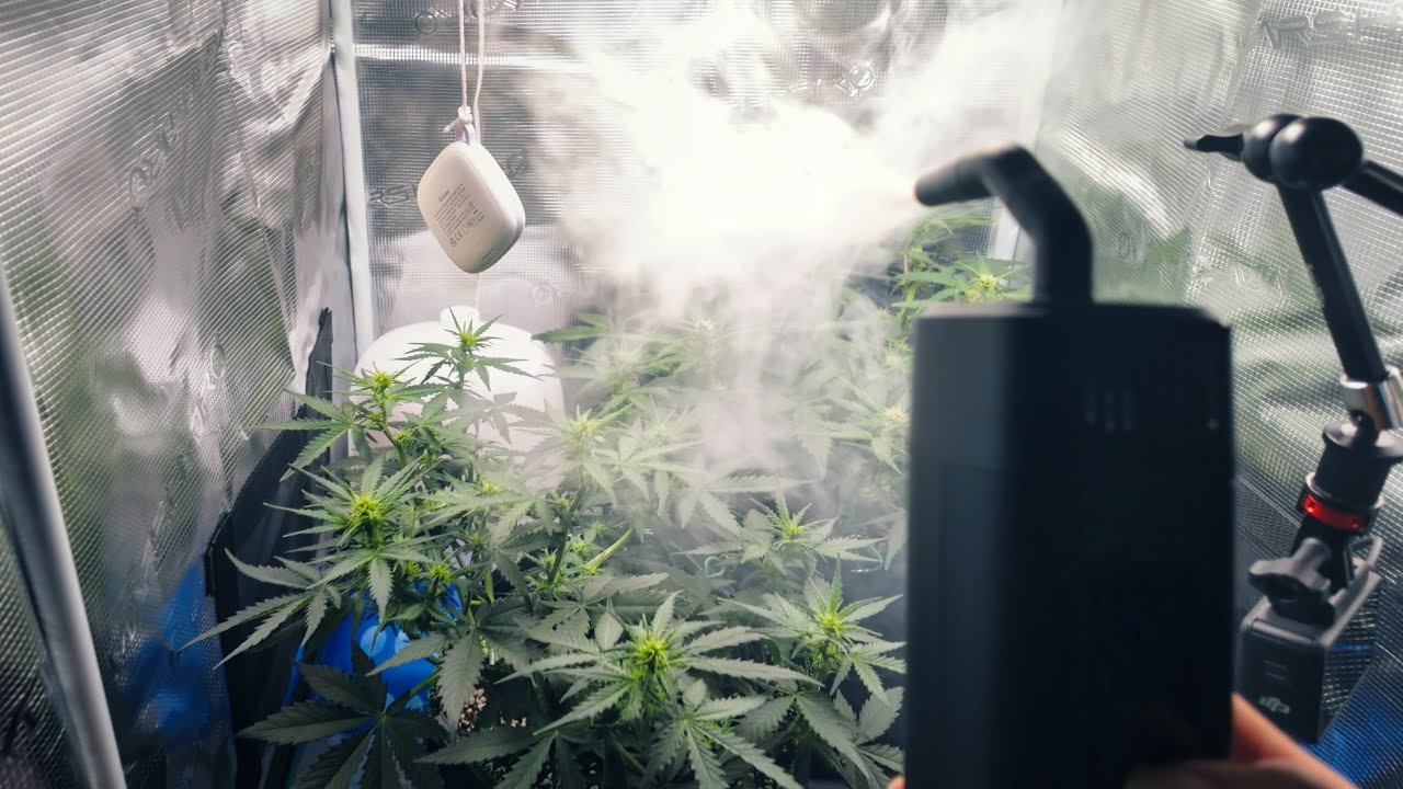 Grow Zelt Upgrade - Schalld&auml;mmung f&uuml;r Abluft & Airflow Visualization | Cannabis Anbau