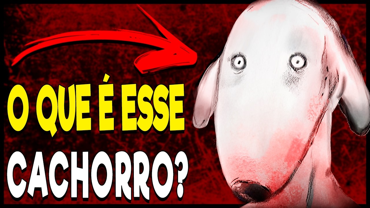Entendendo a História de DEXTER EL PERRO! O cachorro no ESPELHO que está ASSUSTANDO a internet