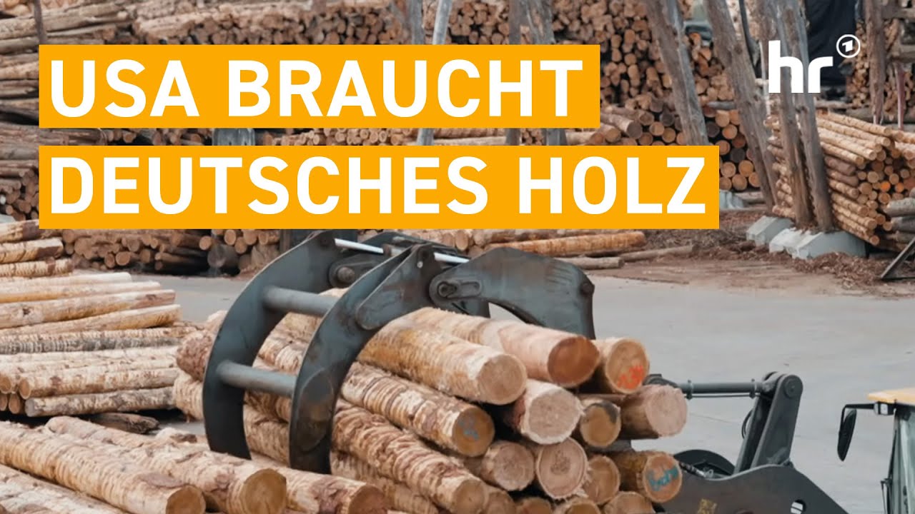 Holz aus Deutschland - von Trumps Z&ouml;llen verschont? | mex