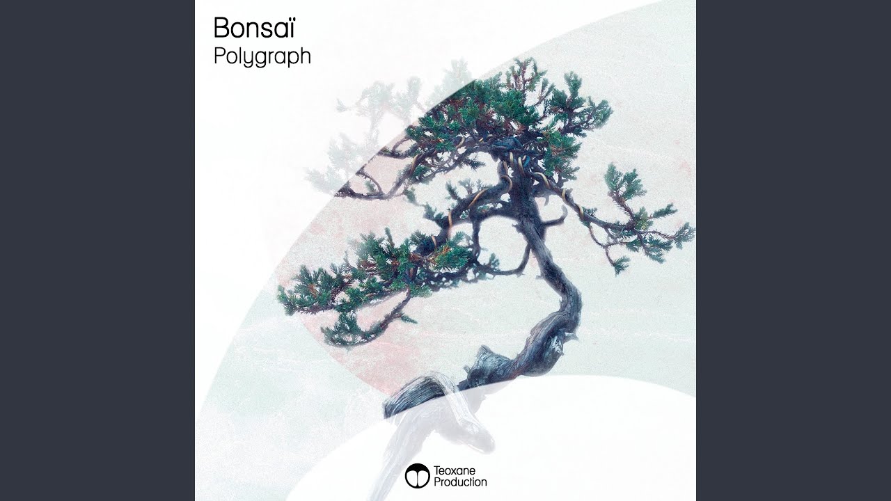 Bonsaï