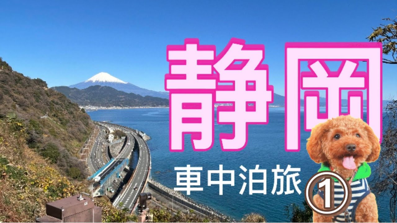 【愛犬と静岡旅①】つり橋とＳＬの駿河路車中泊旅行に行ってきたよ！