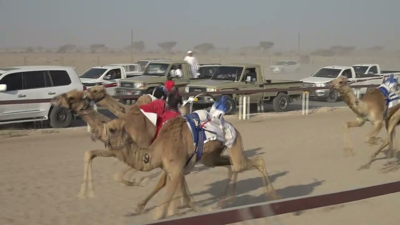 ✅ الشوط 11.. للمتاهلات ومن يرغبم١.شاهين/مبارك سليم الصغير الجحافي2:08.60 الأبيض 14/3/2026
