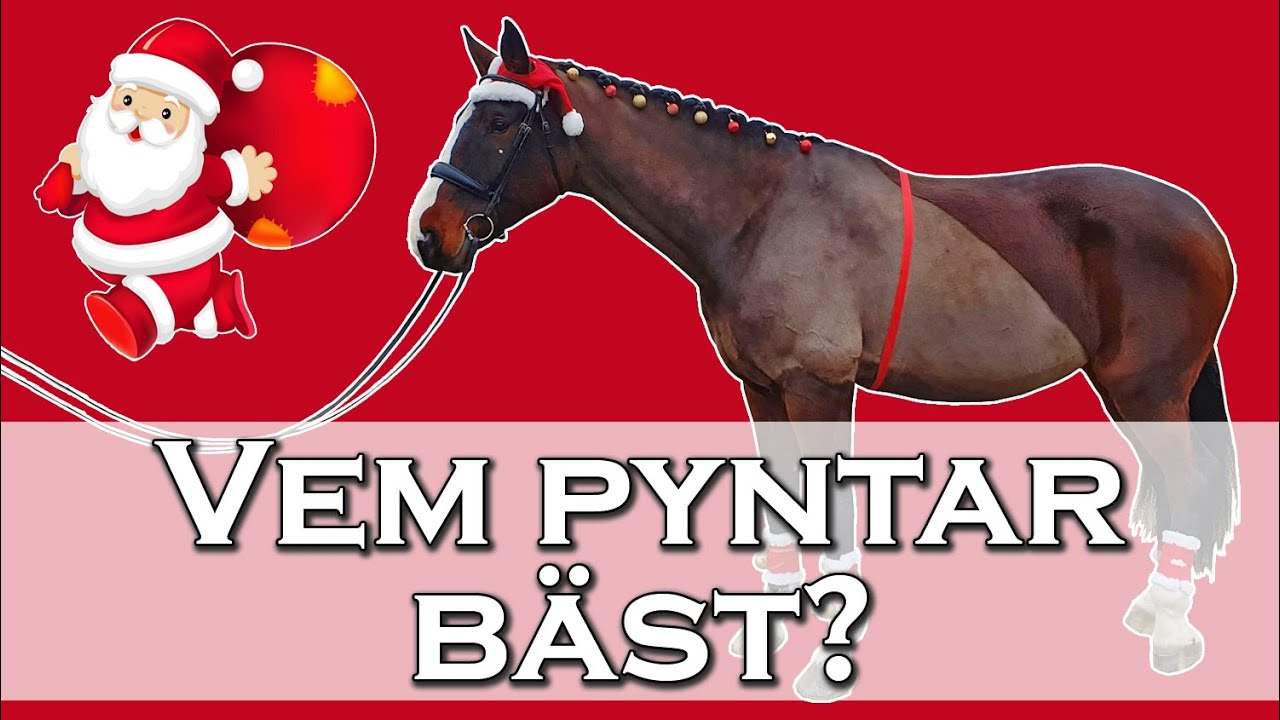 CHALLENGE - VEM JULPYNTAR HÄSTARNA BÄST?!