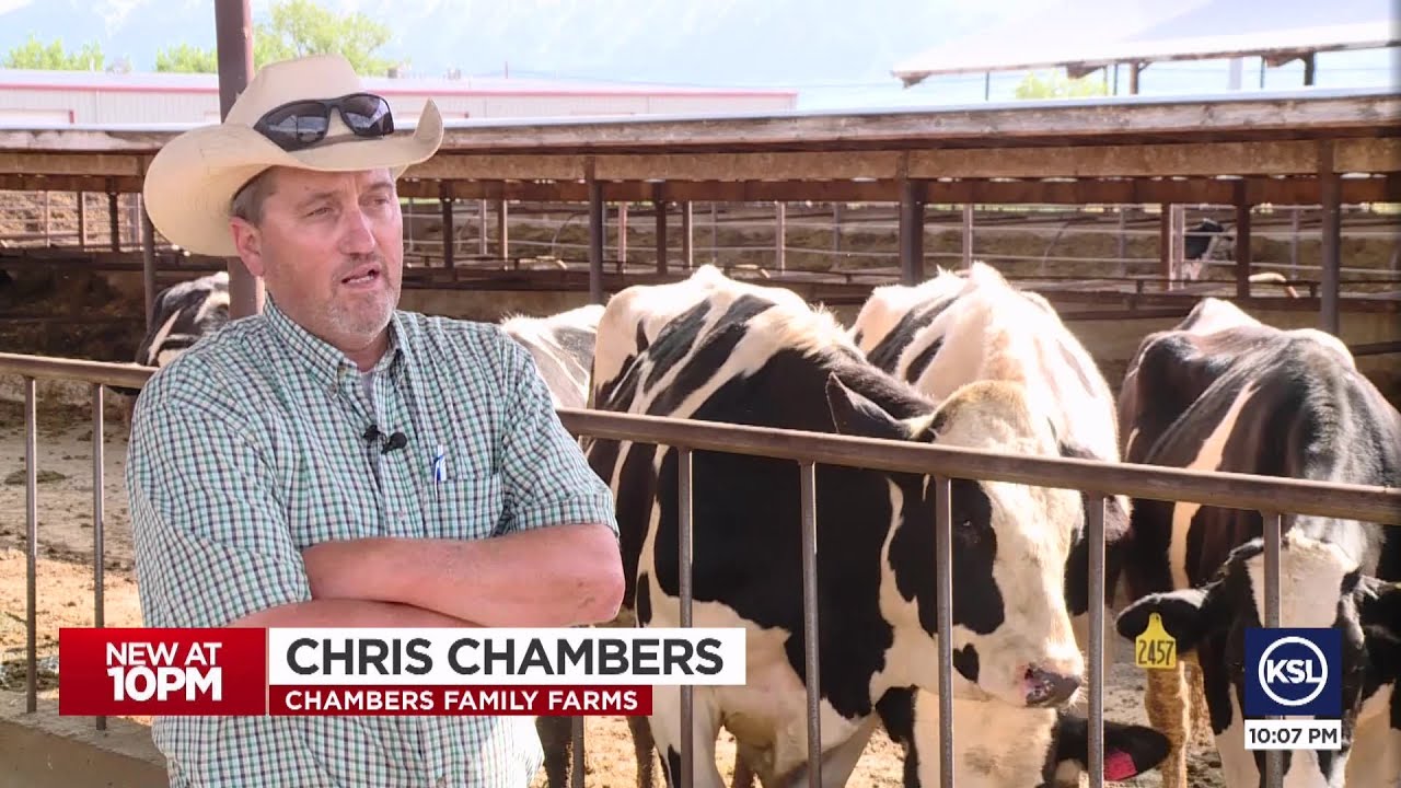 Utah offering vouchers to farmers with mental health struggles