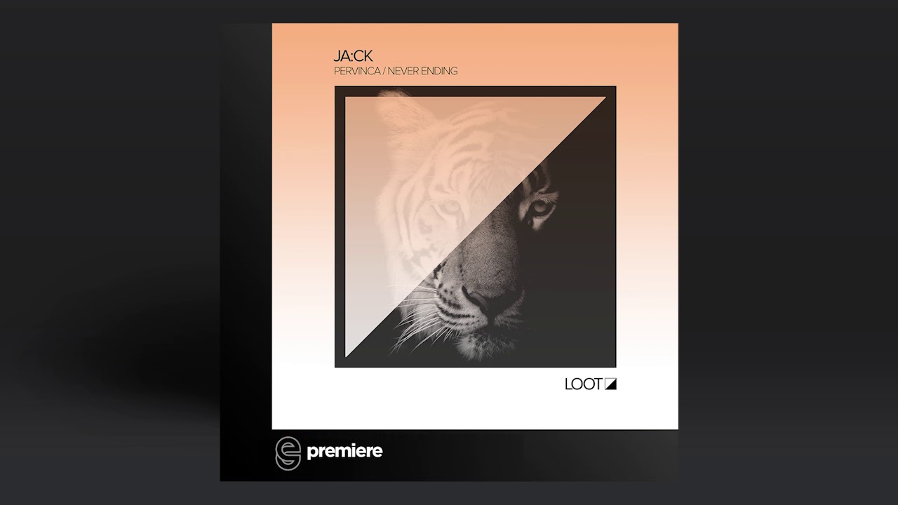 Premiere: JACK - Pervinca (Original Mix) - Loot Recordings