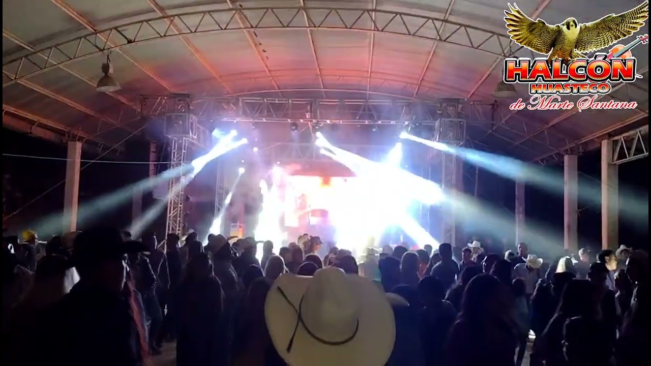 Halcón Huasteco De Marte Santana En Vivo 🎶🎵 Violín Alegré -/El Solterón-/La mujer y la Primavera 🎶🎵