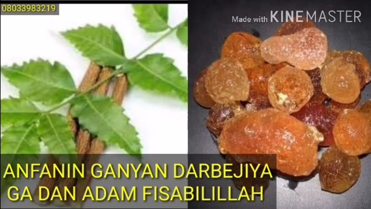 ANFANIN GANYAN DARBEJIYA GA DAN ADAM FISABILILLAH.