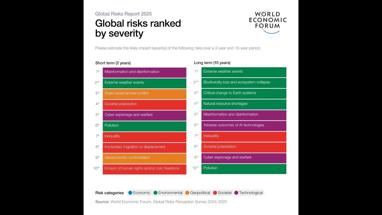 Global Risks 2025 by World Economic Forum