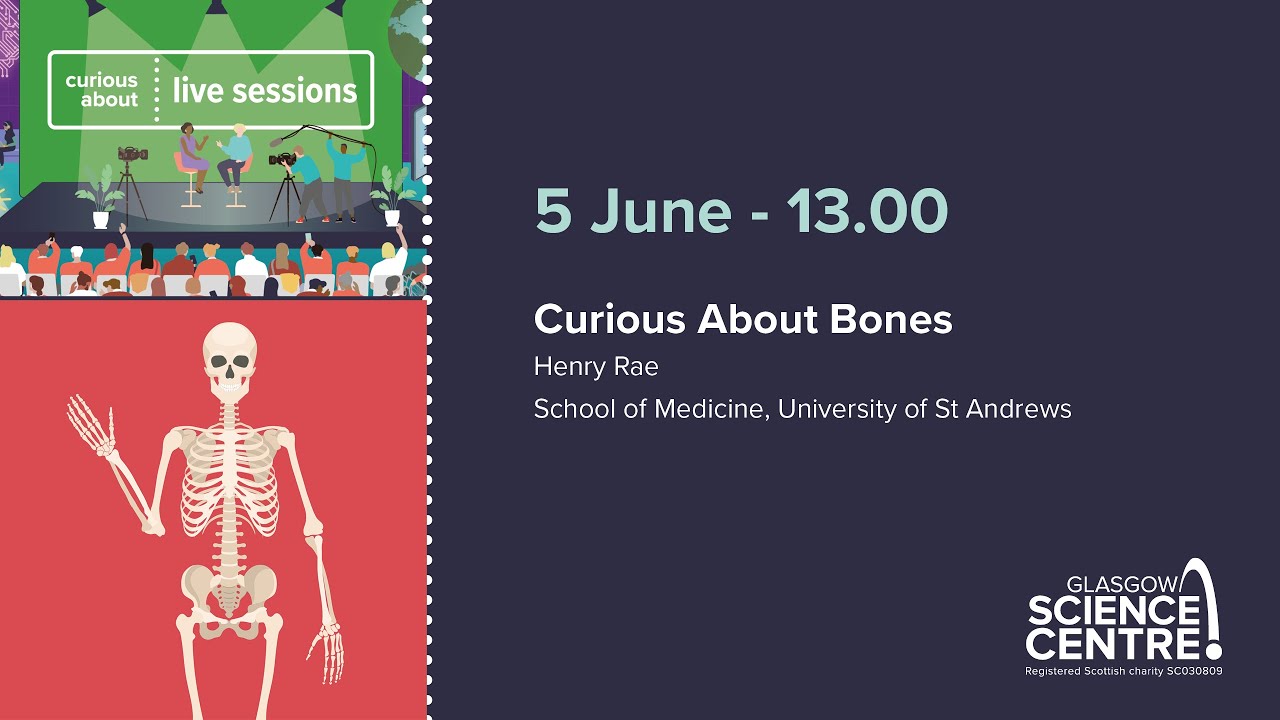 Curious About Bones