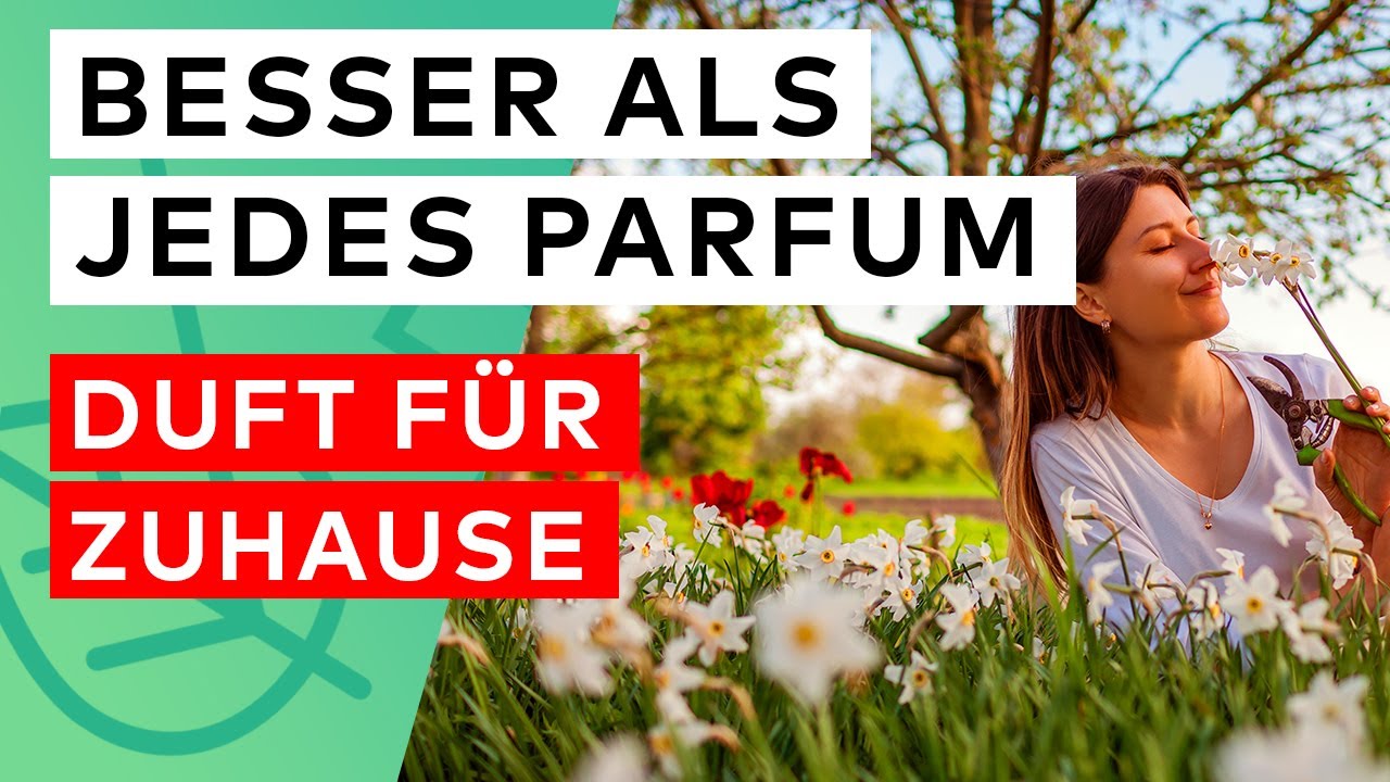 15 DUFTENDE GARTENPFLANZEN die BESSER riechen als jedes PARF&Uuml;M! 🌸
