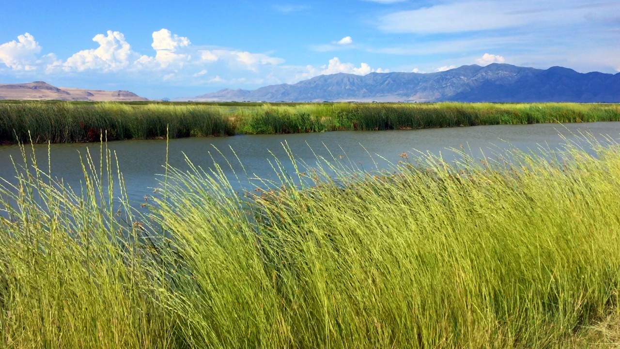 Montana Wilderness, Beautiful Relaxing Music, Peaceful Soothing Instrumental Music, by Tim Janis