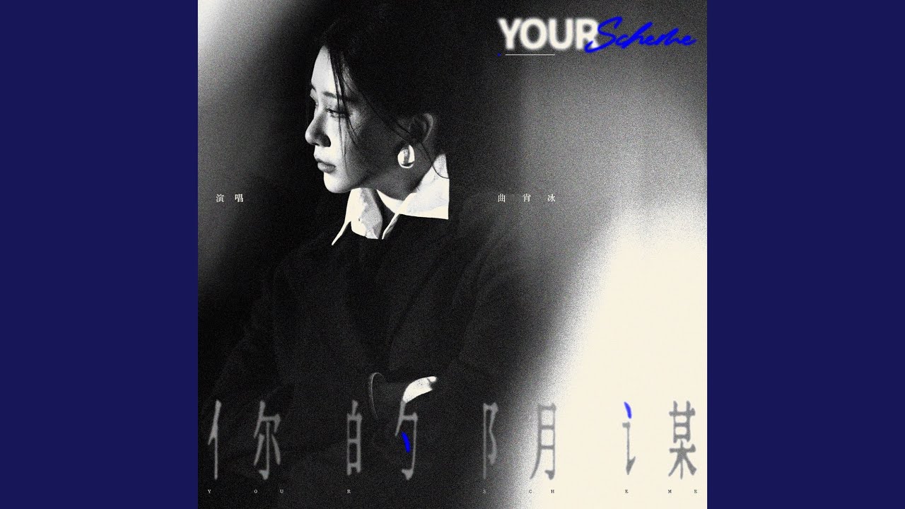 你的阴谋